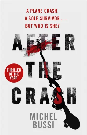Michel Bussi - After the Crash Michel Bussi - After the Crash обложка книги