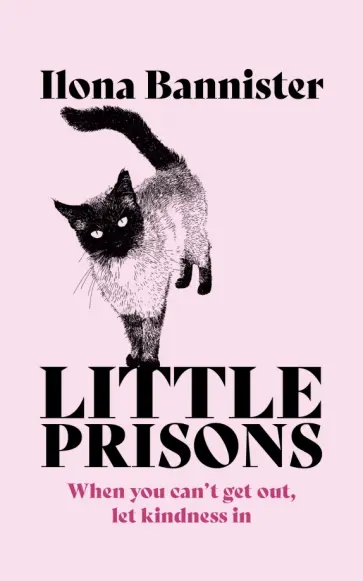 Ilona Bannister - Little Prisons Ilona Bannister - Little Prisons обложка книги