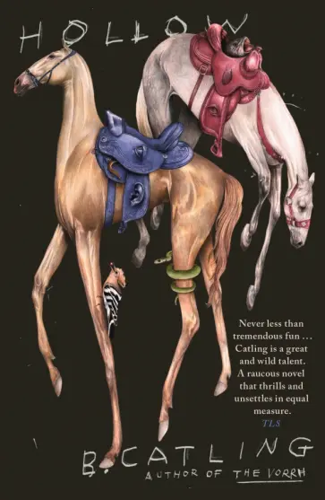 Brian Catling - Hollow Brian Catling - Hollow обложка книги