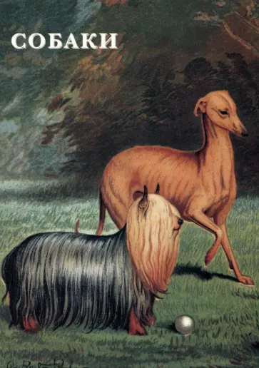 Набор открыток. Собаки Набор открыток. Собаки обложка книги