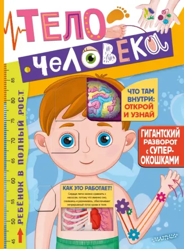 Тело человека обложка книги