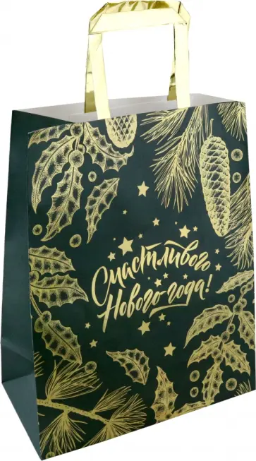 Пакет из крафт-бумаги Чудесный Новый год обложка книги
