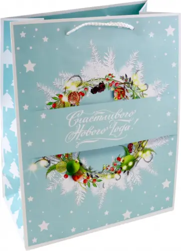 Пакет Счастливого Нового года обложка книги