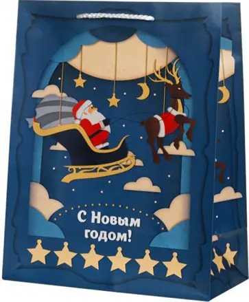 Пакет Дед Мороз в санях обложка книги