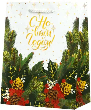 Пакет Ветка с шишками обложка книги