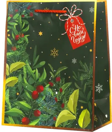 Пакет Новогодние травы обложка книги