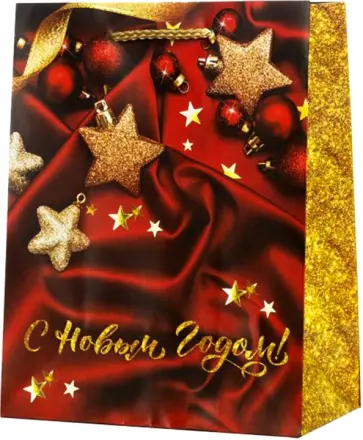 Пакет Звезды на шелке обложка книги