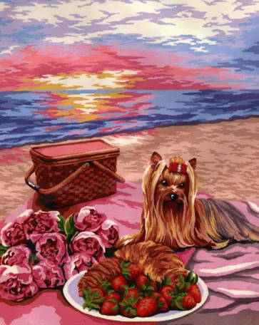 Рисование по номерам Теплый вечер обложка книги