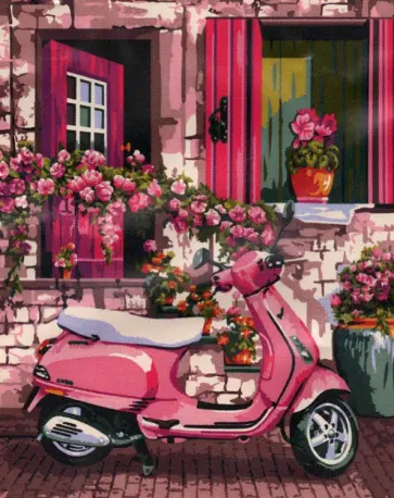 Рисование по номерам Розовый мопед обложка книги