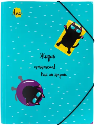 Папка на резинке Коты, A4 обложка книги
