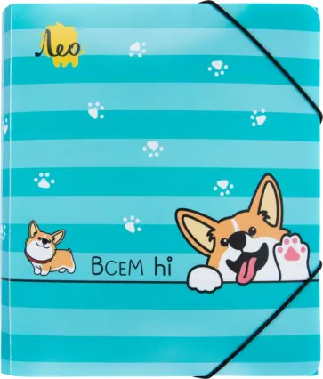 Папка на резинке Корги, A5 обложка книги