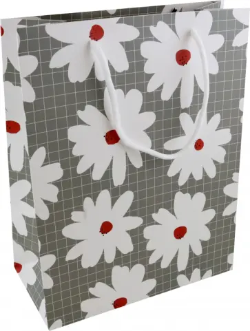 Пакет подарочный Sentiment, ромашки обложка книги