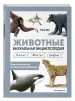 Миниатюра 2