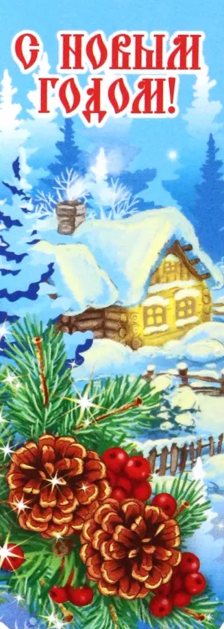 Магнитная закладка Шишки обложка книги