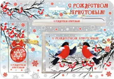 Набор с блокнотом Снегири обложка книги