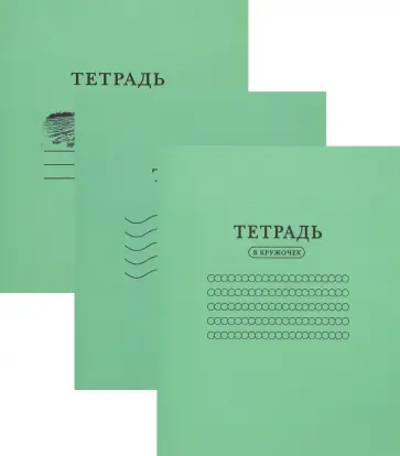 Набор из 3 тетрадей Тетрадости обложка книги