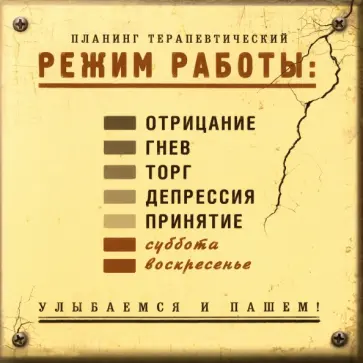 Планинг терапевтический Режим работы обложка книги