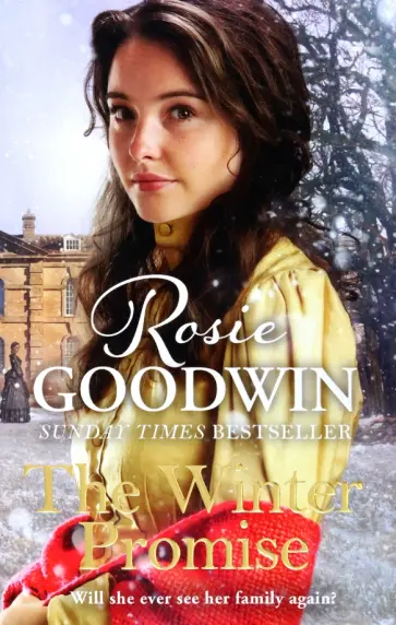 Rosie Goodwin - The Winter Promise обложка книги