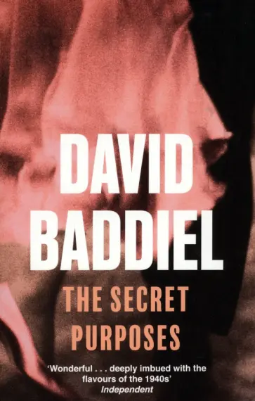 David Baddiel - The Secret Purposes David Baddiel - The Secret Purposes обложка книги