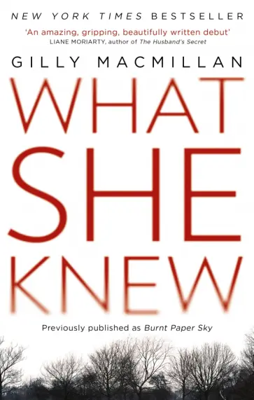 Gilly Macmillan - What She Knew обложка книги