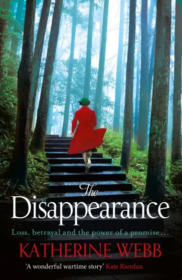 Katherine Webb - The Disappearance обложка книги