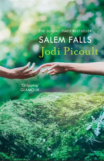 Jodi Picoult - Salem Falls Jodi Picoult - Salem Falls обложка книги