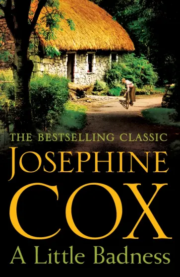Josephine Cox - A Little Badness обложка книги