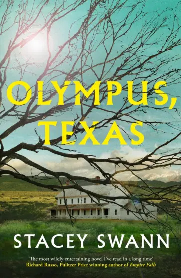 Stacey Swann - Olympus, Texas обложка книги