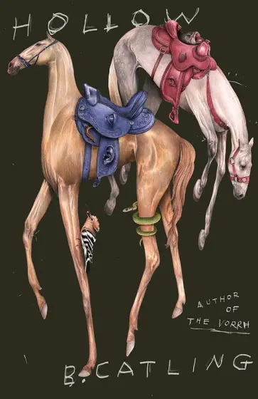 Brian Catling - Hollow Brian Catling - Hollow обложка книги