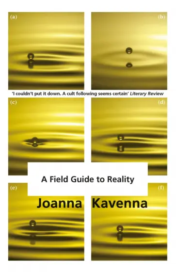Joanna Kavenna - A Field Guide to Reality обложка книги
