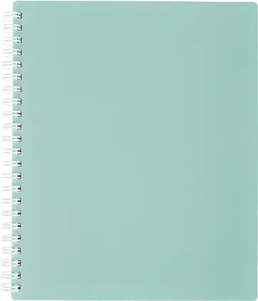 Тетрадь Newtone Pastel, 80 листов, клетка, А4, мята обложка книги