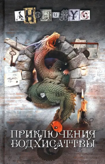 Анонимyс - Приключения бодхисаттвы обложка книги
