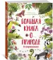 Миниатюра 2