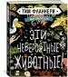 Миниатюра 2