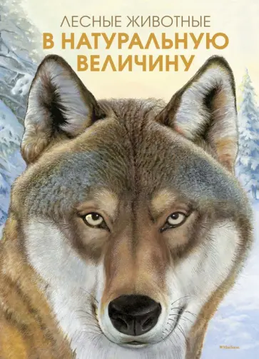 Хольгер Хааг - Лесные животные в натуральную величину обложка книги