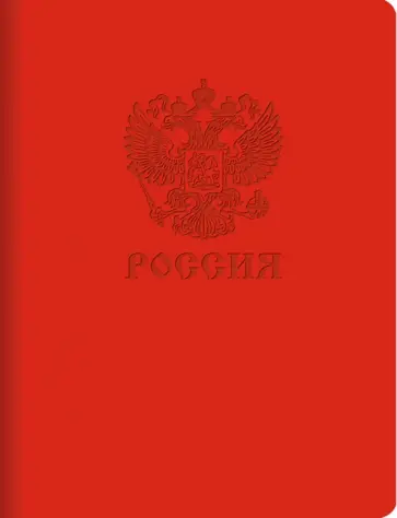 Книга для записей Basics 1, А5, 96 листов, клетка обложка книги