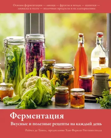 Тампл де - Ферментация. Вкусные и полезные рецепты на каждый день обложка книги