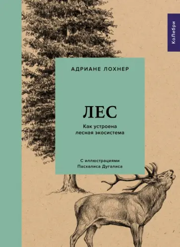Адриане Лохнер - Лес. Как устроена лесная экосистема обложка книги