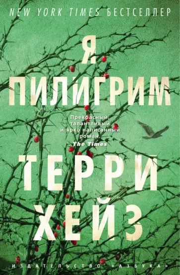 Терри Хейз - Я Пилигрим обложка книги
