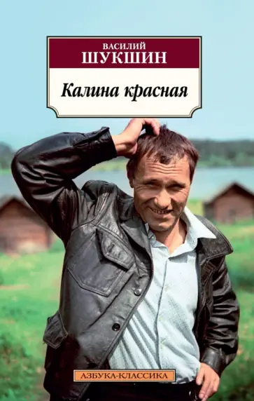 Василий Шукшин - Калина красная обложка книги