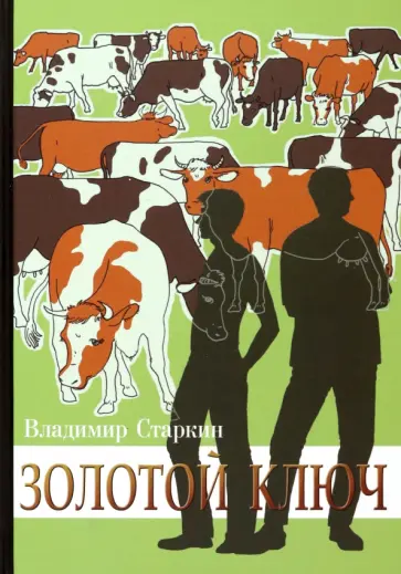Владимир Старкин - Золотой ключ Владимир Старкин - Золотой ключ обложка книги