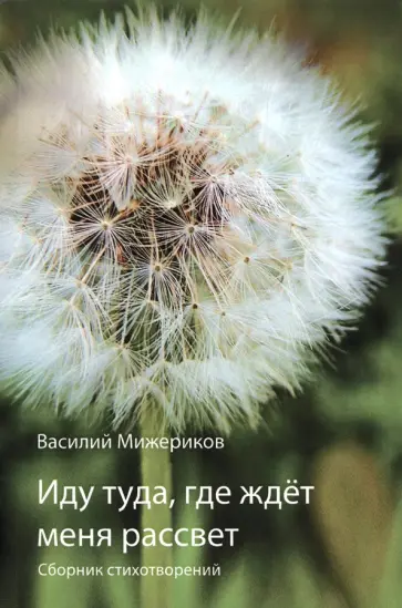 Василий Мижериков - Иду туда, где ждет меня рассвет Василий Мижериков - Иду туда, где ждет меня рассвет обложка книги