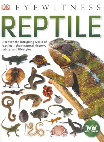 Reptile обложка книги