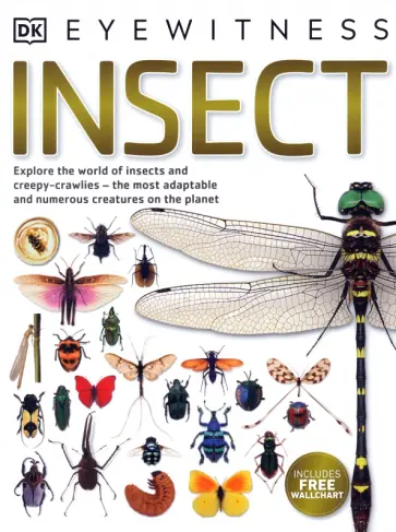 Laurence Mound - Insect. Explore the World of Insects and Creepy-crawlies Laurence Mound - Insect. Explore the World of Insects and Creepy-crawlies обложка книги
