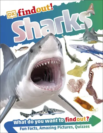 Sharks Sharks обложка книги