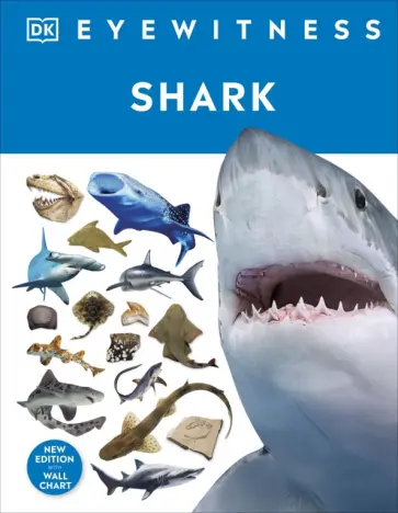 Shark обложка книги