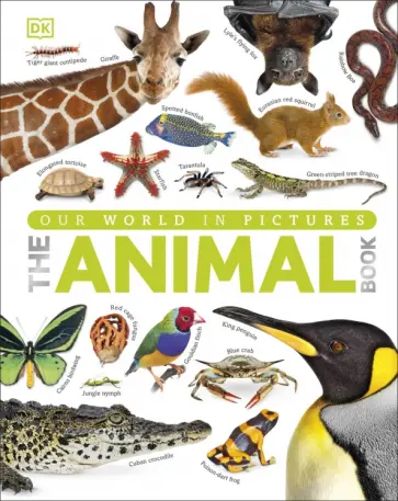 The Animal Book обложка книги