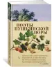 Миниатюра 2