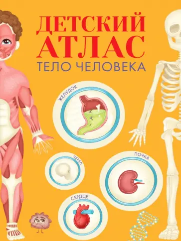 Ольга Гринина - Детский атлас. Тело человека обложка книги