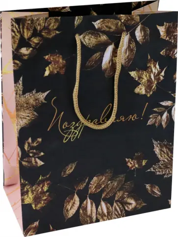 Пакет Золотые листья на черном обложка книги